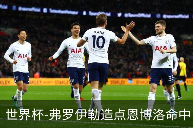 世界杯-弗罗伊勒造点恩博洛命中 瑞士半场暂1-0卡塔尔